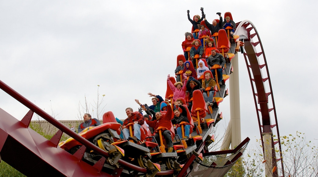 國王島主題樂園 呈现出 騎乘 和 運動賽事