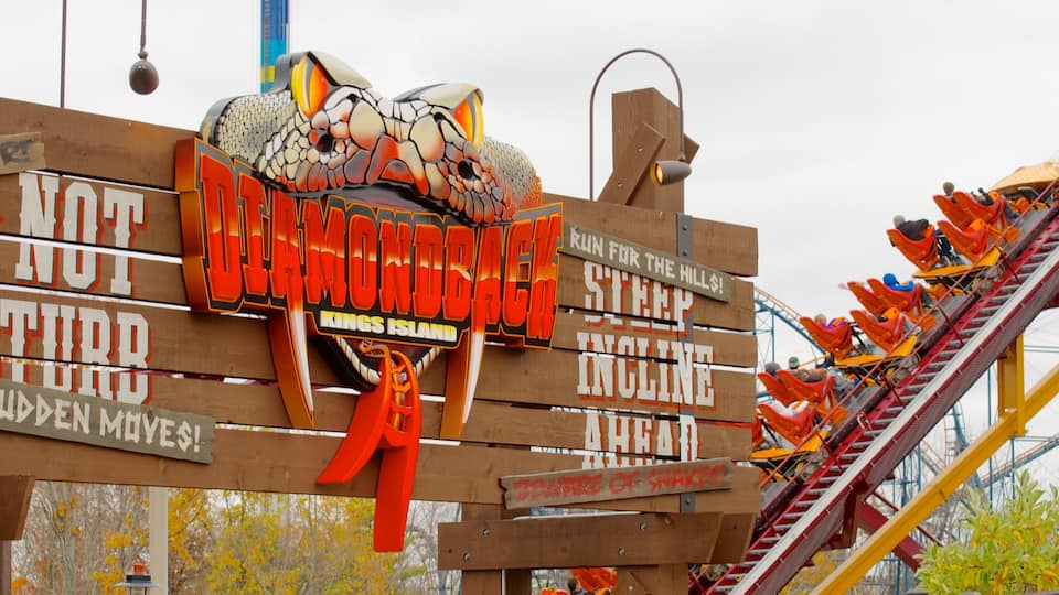 A wooden sign with a roller coaster and a large, colorful snake illustration.