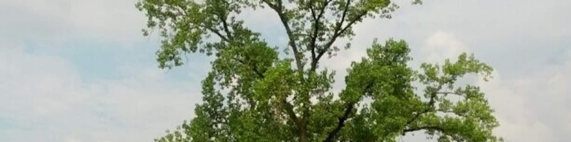 Nope, not a golf course, this is a shot of Mound City. A collection of 22 earthen mounds of varying heights and sizes made by the Hopewell Indians over 2000 years ago. The mounds were threatened by the construction of Camp Sherman in 1917 to train troops for WWI. Today the site is managed by the National Park Services.
