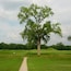 Nope, not a golf course, this is a shot of Mound City. A collection of 22 earthen mounds of varying heights and sizes made by the Hopewell Indians over 2000 years ago. The mounds were threatened by the construction of Camp Sherman in 1917 to train troops for WWI. Today the site is managed by the National Park Services.