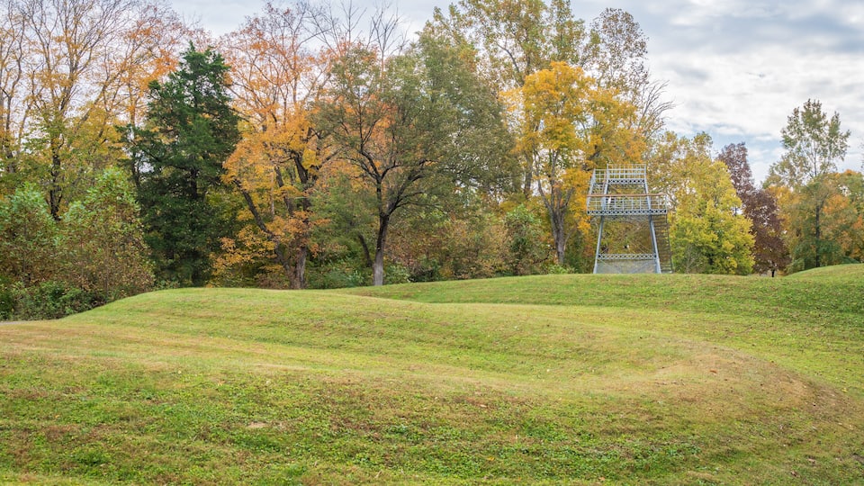 A grassy park with autumn trees and a metal structure in the background.