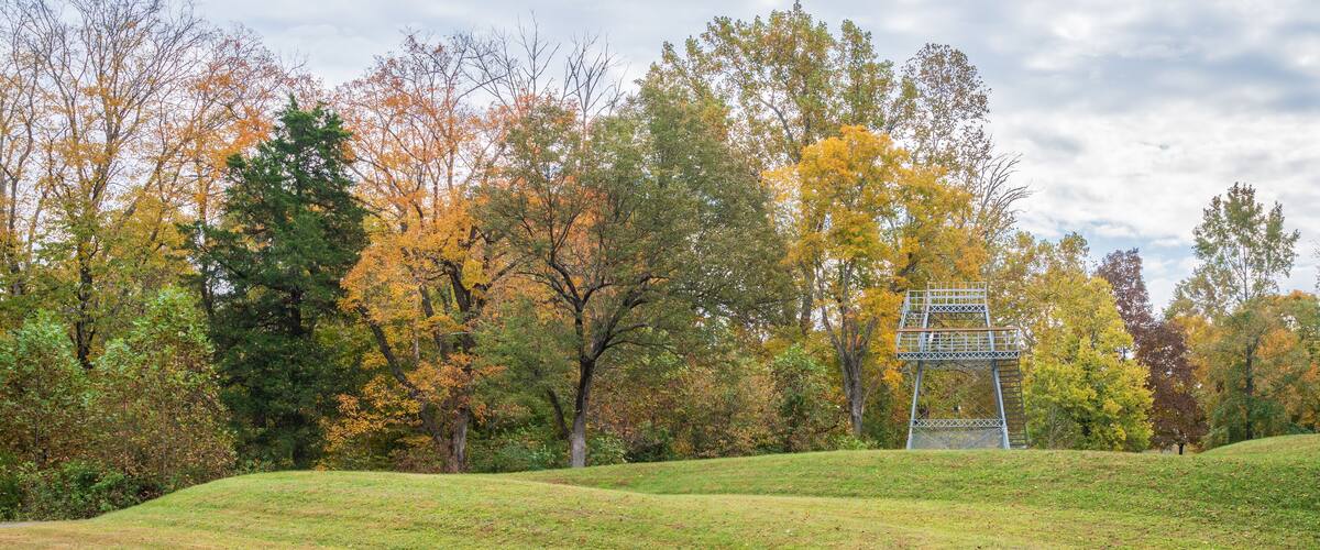 A grassy park with autumn trees and a metal structure in the background.