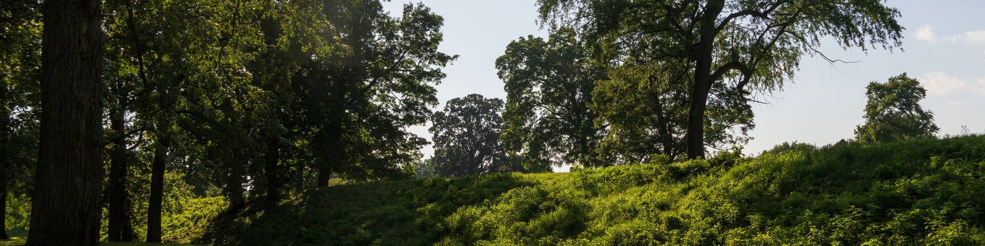 Newark Earthworks in Heath Ohio