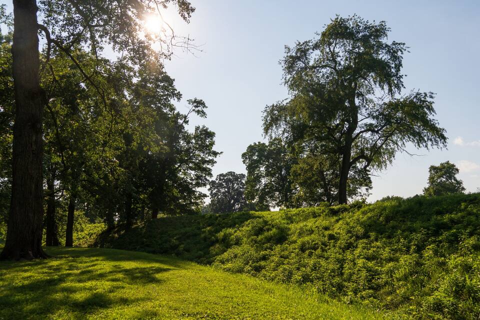 Un paisaje verde y exuberante con árboles altos y una colina cubierta de hierba.