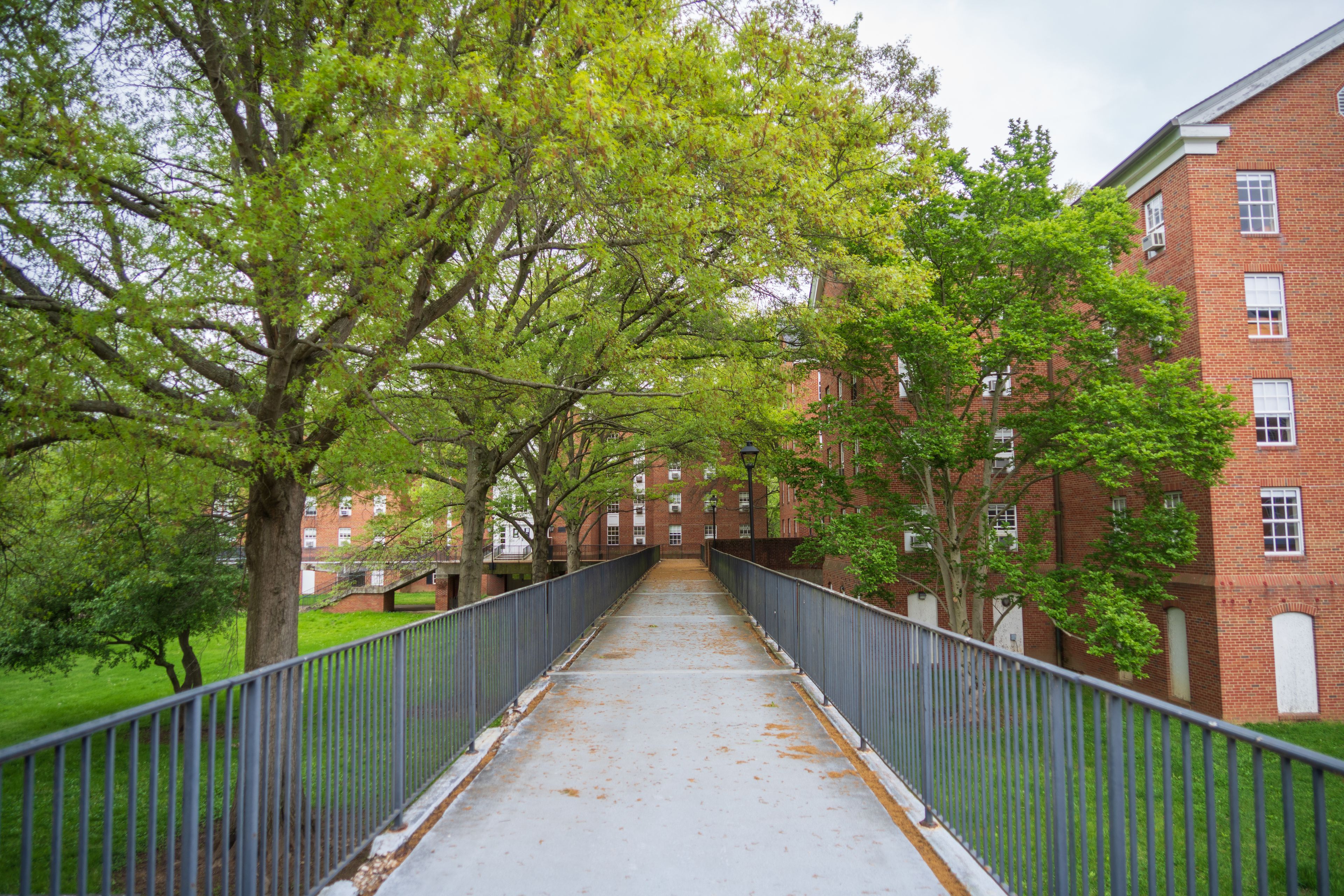 Ohio University