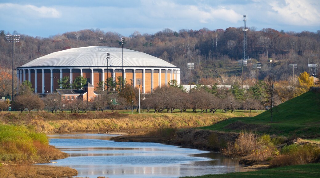 Ohio University