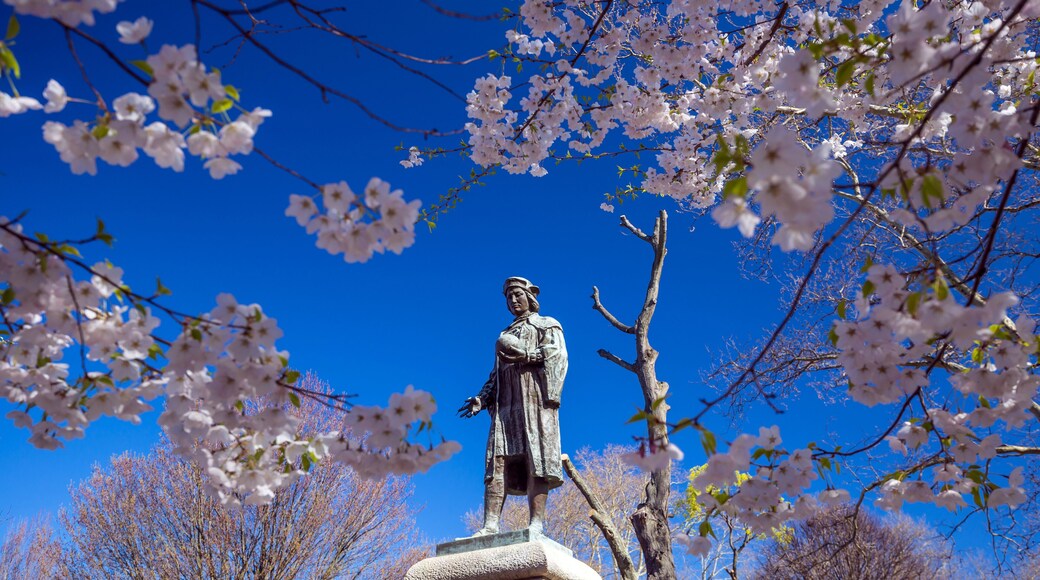 Wooster Square in New Haven