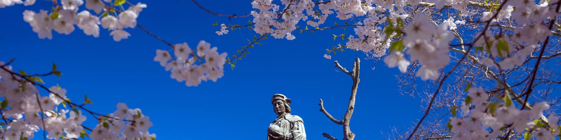 Wooster Square in New Haven