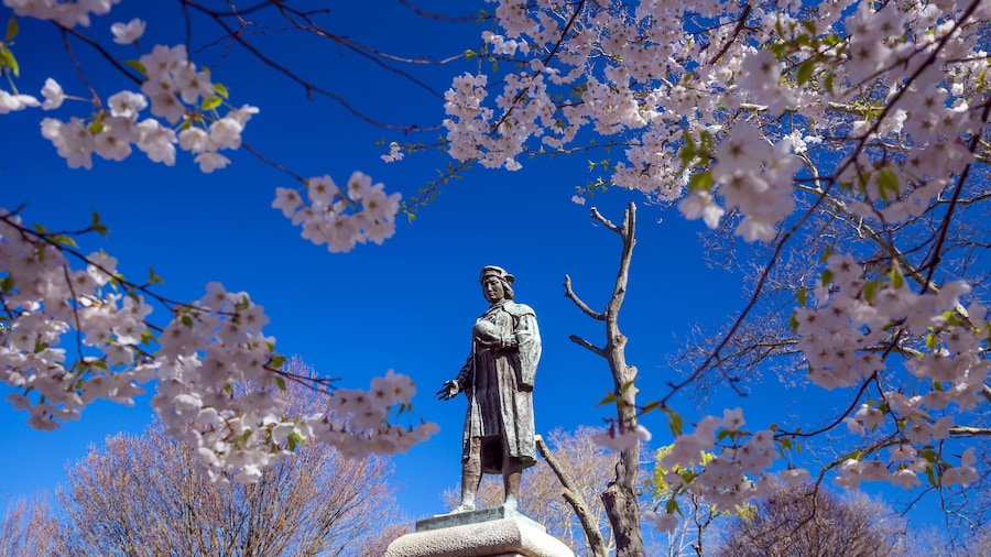 วิทยาลัย Wooster