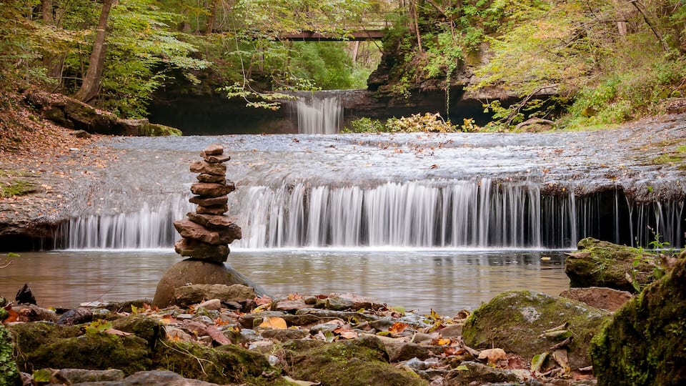 A serene forest with a small waterfall, a moss-covered rock stack, and a bridge in the background.