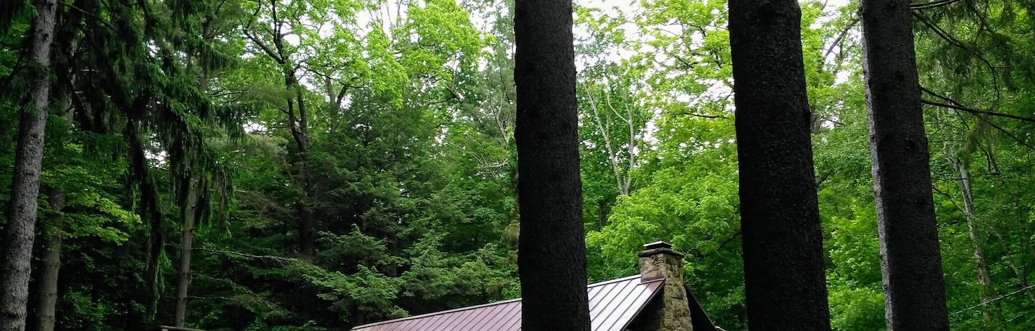 Peaceful cabin in the woods