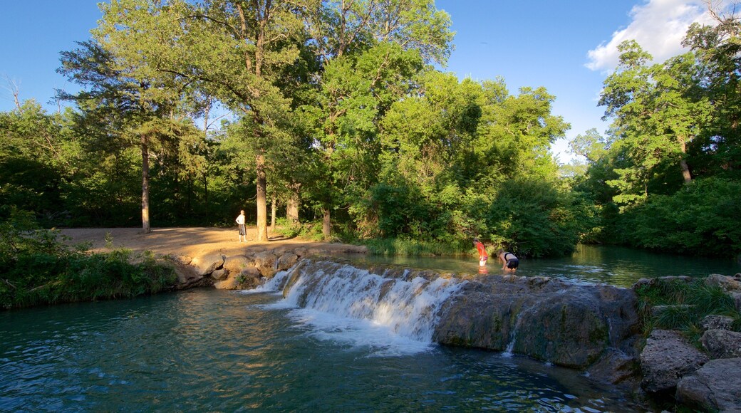 Chickasaw National Recreation Area montrant riviĂšre ou ruisseau et scĂšnes forestiĂšres aussi bien que petit groupe de personnes