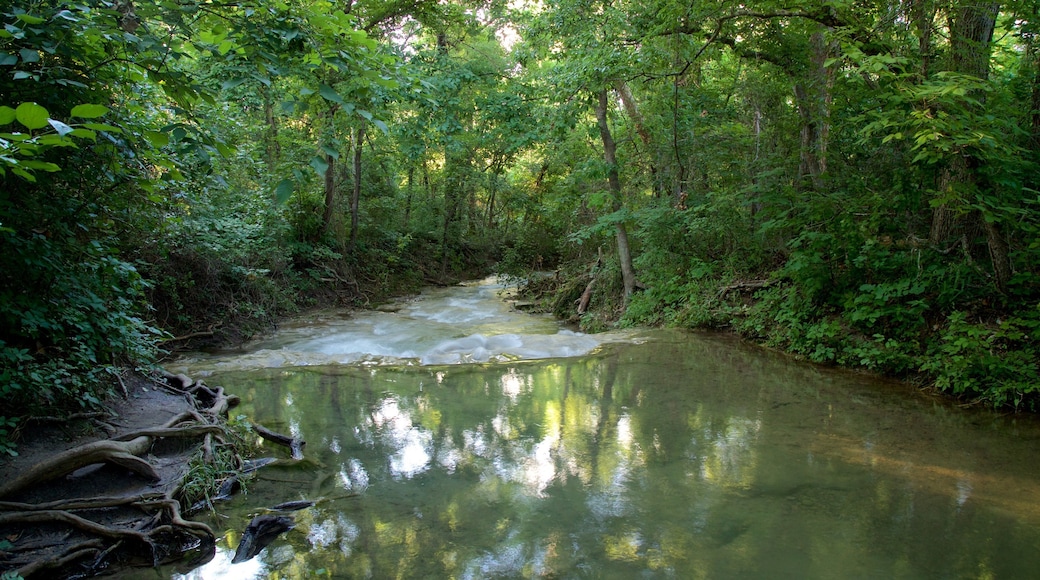 Chickasaw National Recreation Area featuring forest scenes and a river or creek