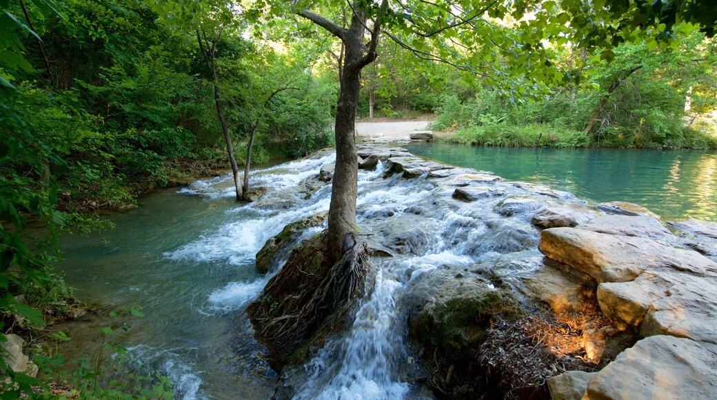 Chickasaw National Recreation Area featuring a river or creek