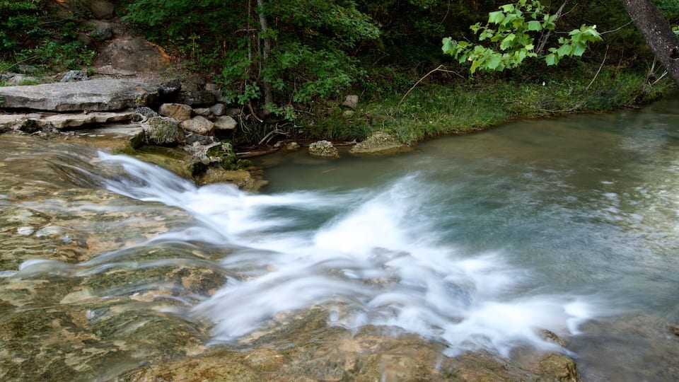 A flowing river with clear water, surrounded by rocks and greenery.