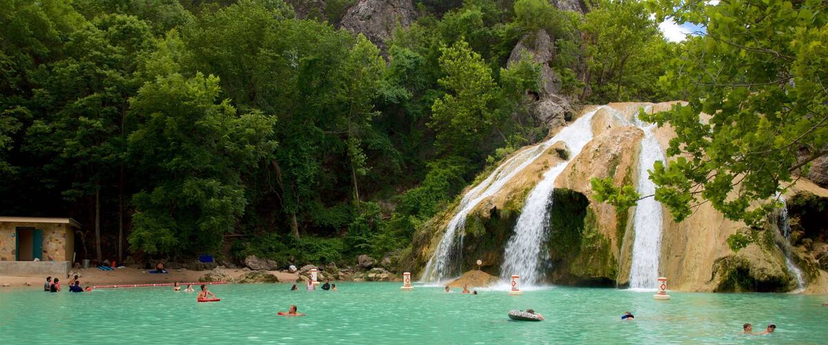 A waterfall, people swimming, and trees.