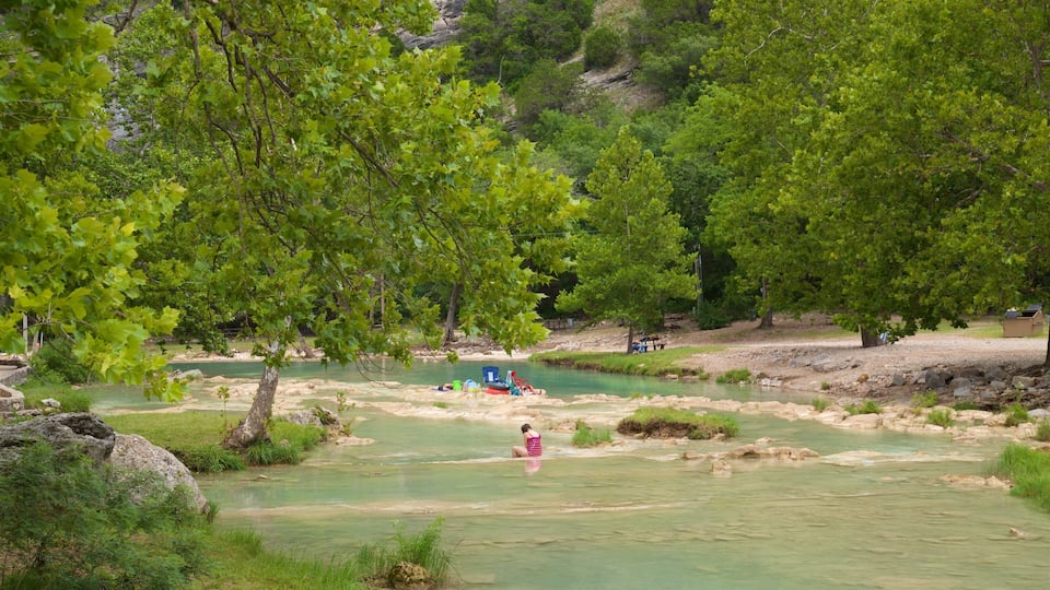 A river with clear water, surrounded by lush green trees and rocks.