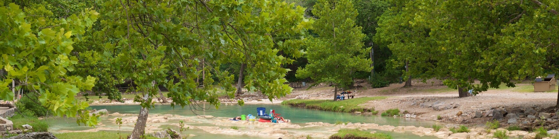 Un río de aguas cristalinas, rodeado de frondosos árboles verdes y rocas.