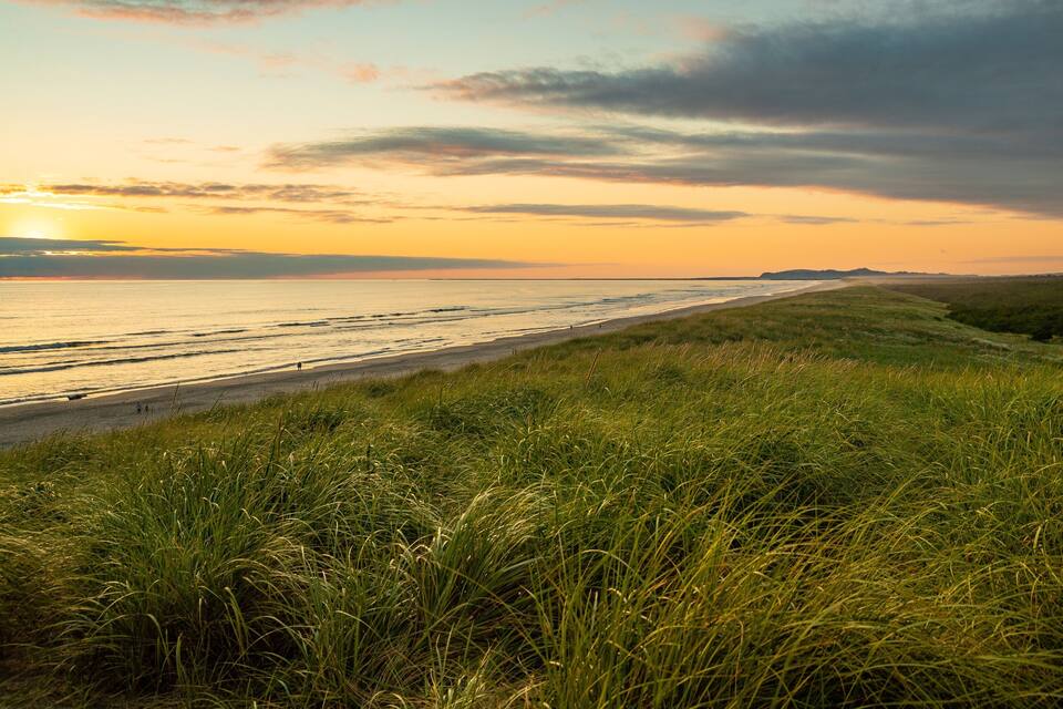 A grassy beach with waves and a sunset.
