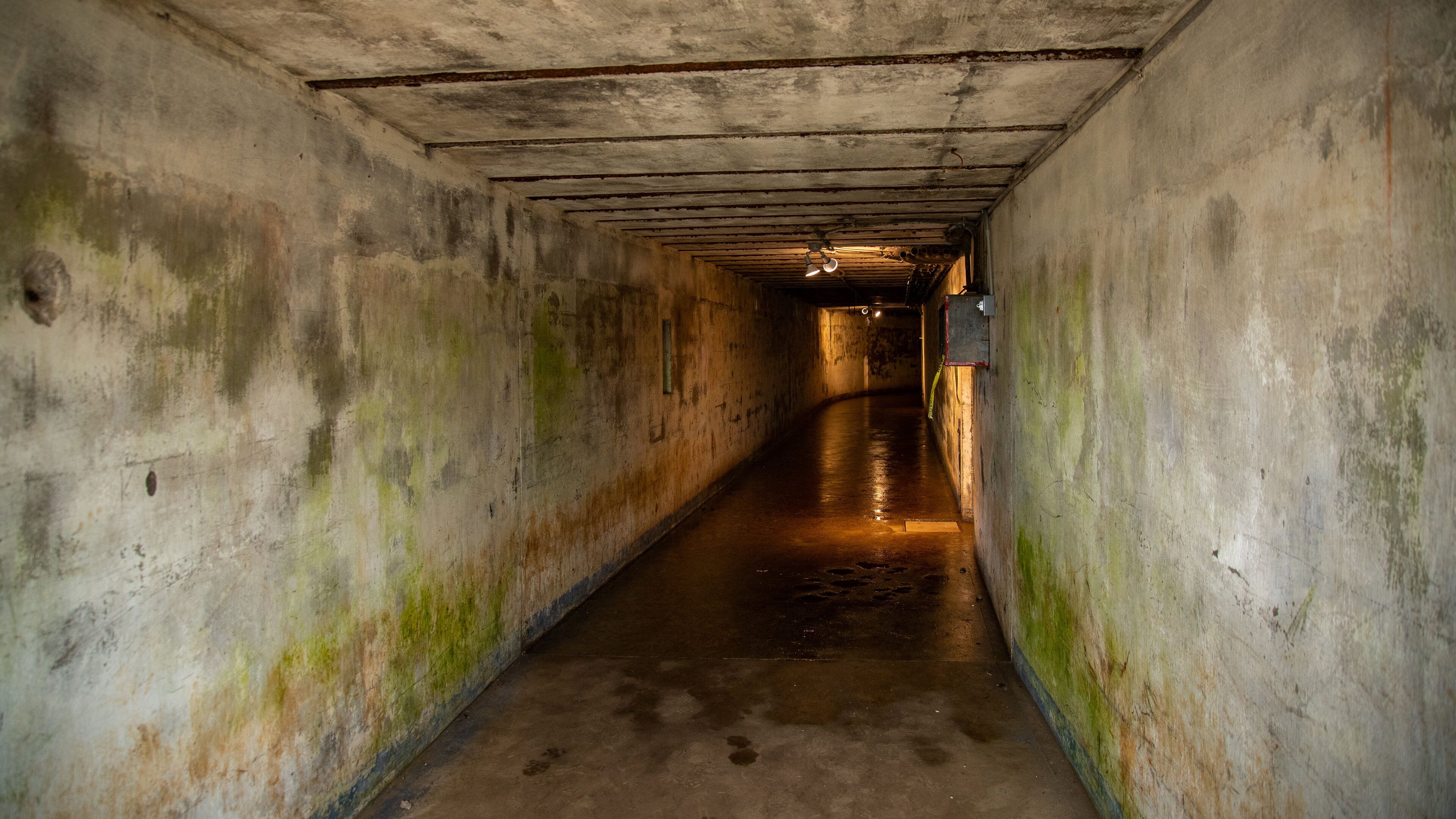 Fort Stevens State Park