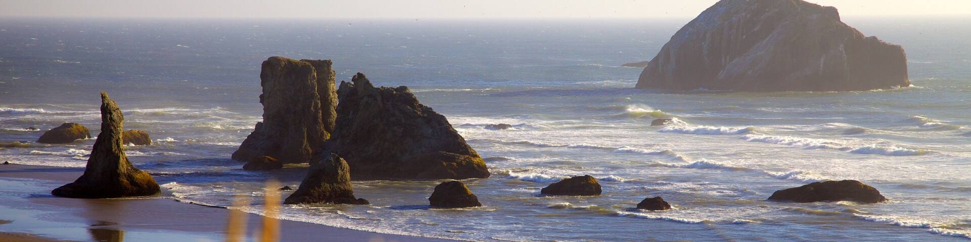 Bandon Beach which includes rocky coastline and a beach