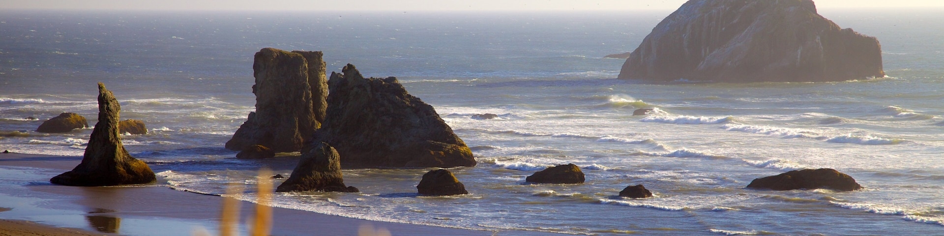 Bandon Beach showing a beach and rugged coastline