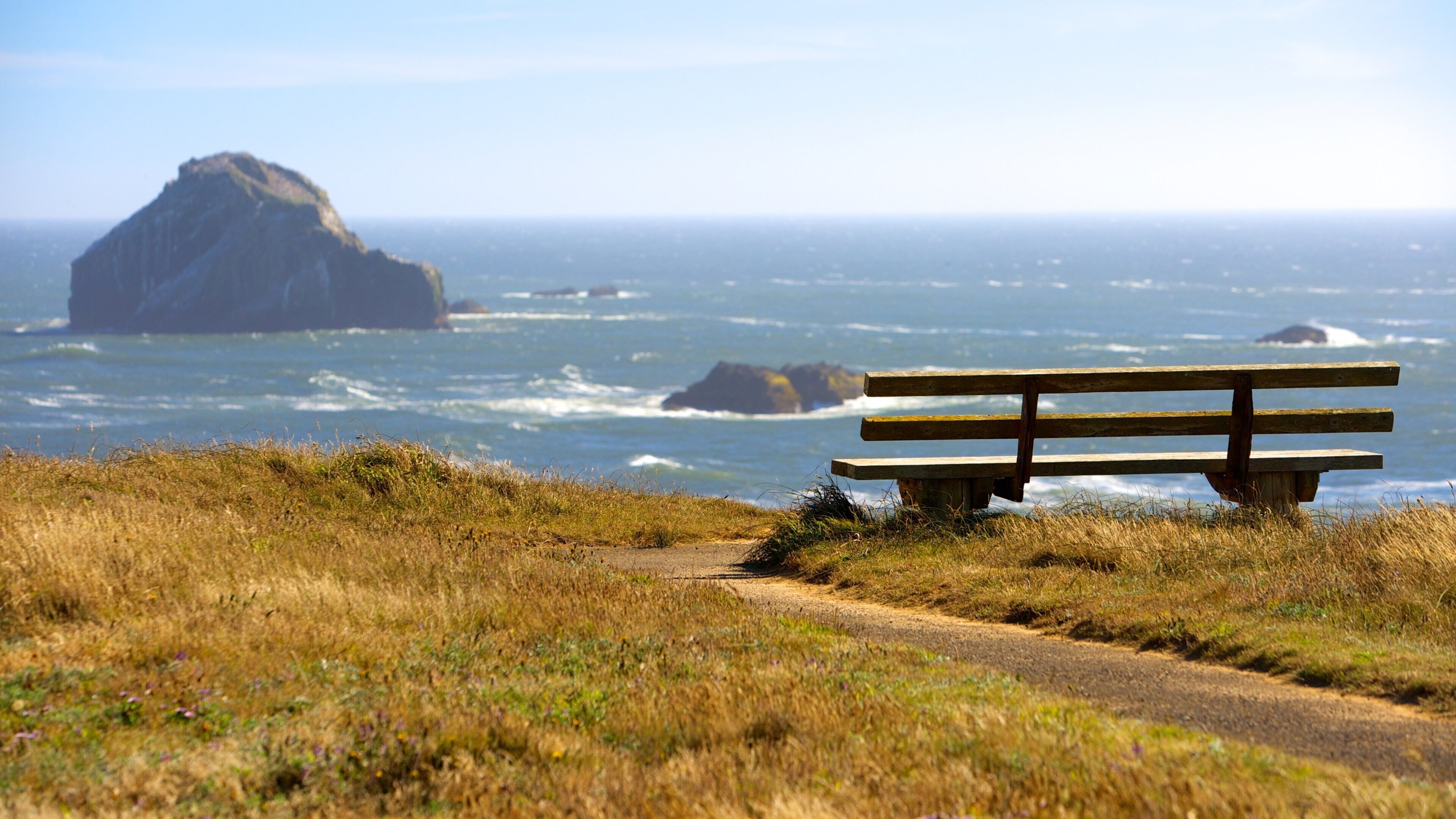 Plage de Bandon mettant en vedette vues et vues littorales