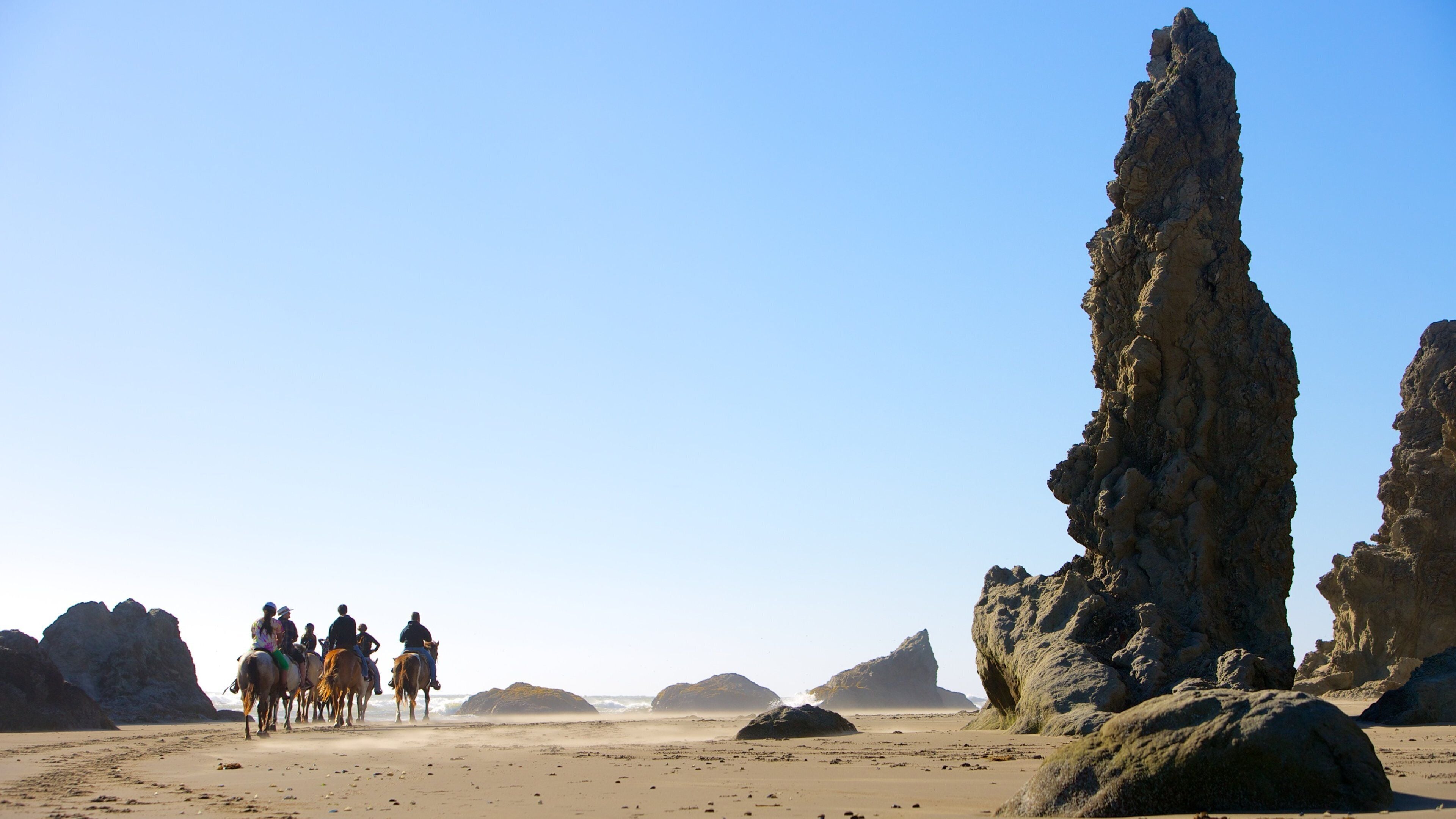 Plage de Bandon mettant en vedette animaux terrestres et équitation