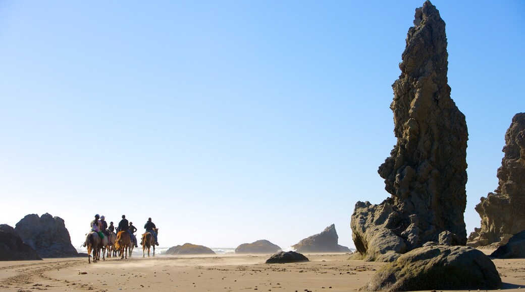 Plage de Bandon mettant en vedette animaux terrestres et équitation