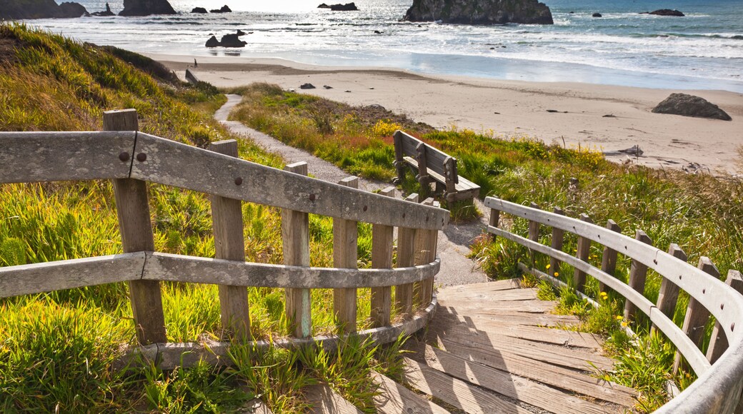 Wooden staircase leading to Bandon Beach, Oregon, USA