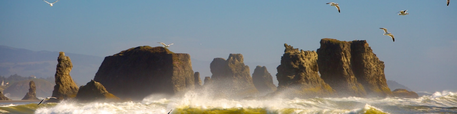 Bandon Beach featuring rugged coastline and surf