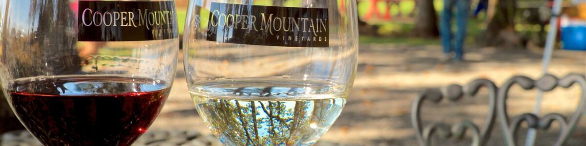 Cooper Mountain Vineyards showing drinks or beverages