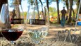 Deux verres à vin portant l’étiquette « Cooper Mountain Vineyards », l’un contenant du vin rouge et l’autre du vin blanc, sont posés sur une table en pierre, à l’extérieur.