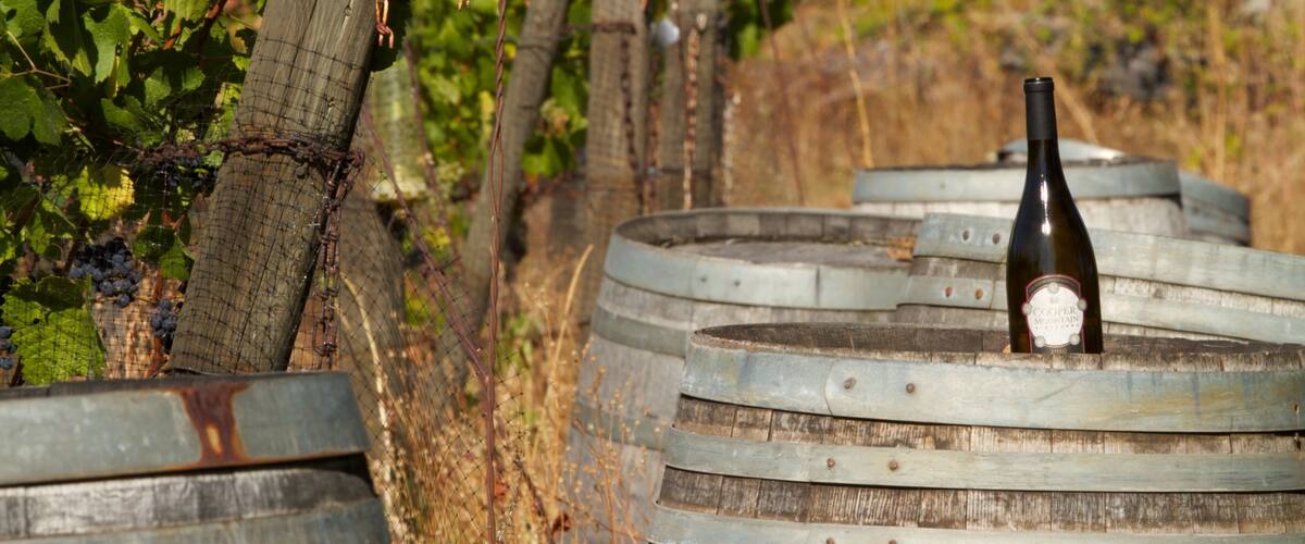 Cooper Mountain Vineyards mettant en vedette boissons