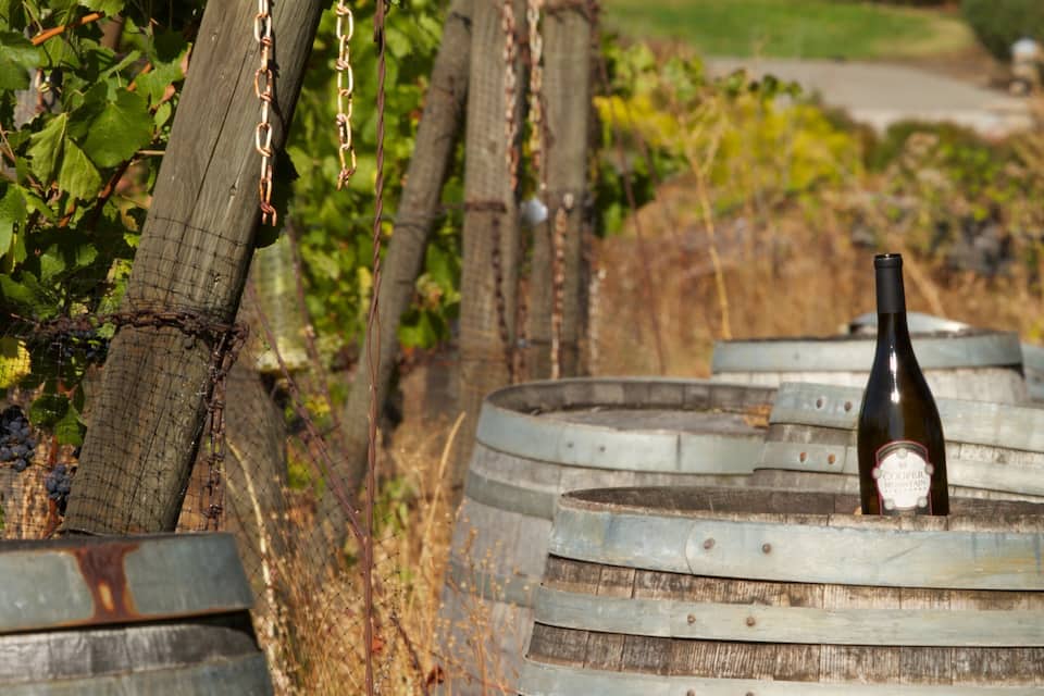 A wine barrel with a bottle of wine on top, surrounded by grapevines and a rustic fence.