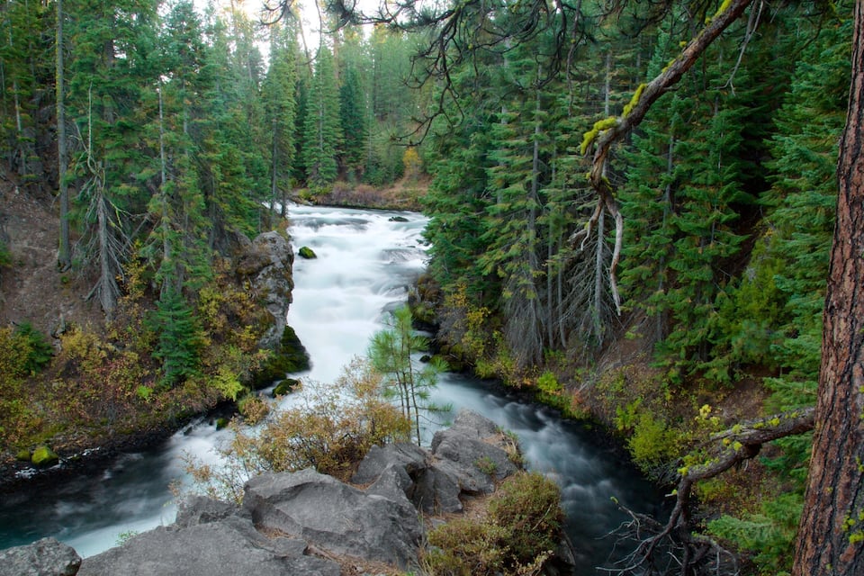 Ein Fluss fließt durch einen Wald mit dichten Bäumen und felsigem Gelände.