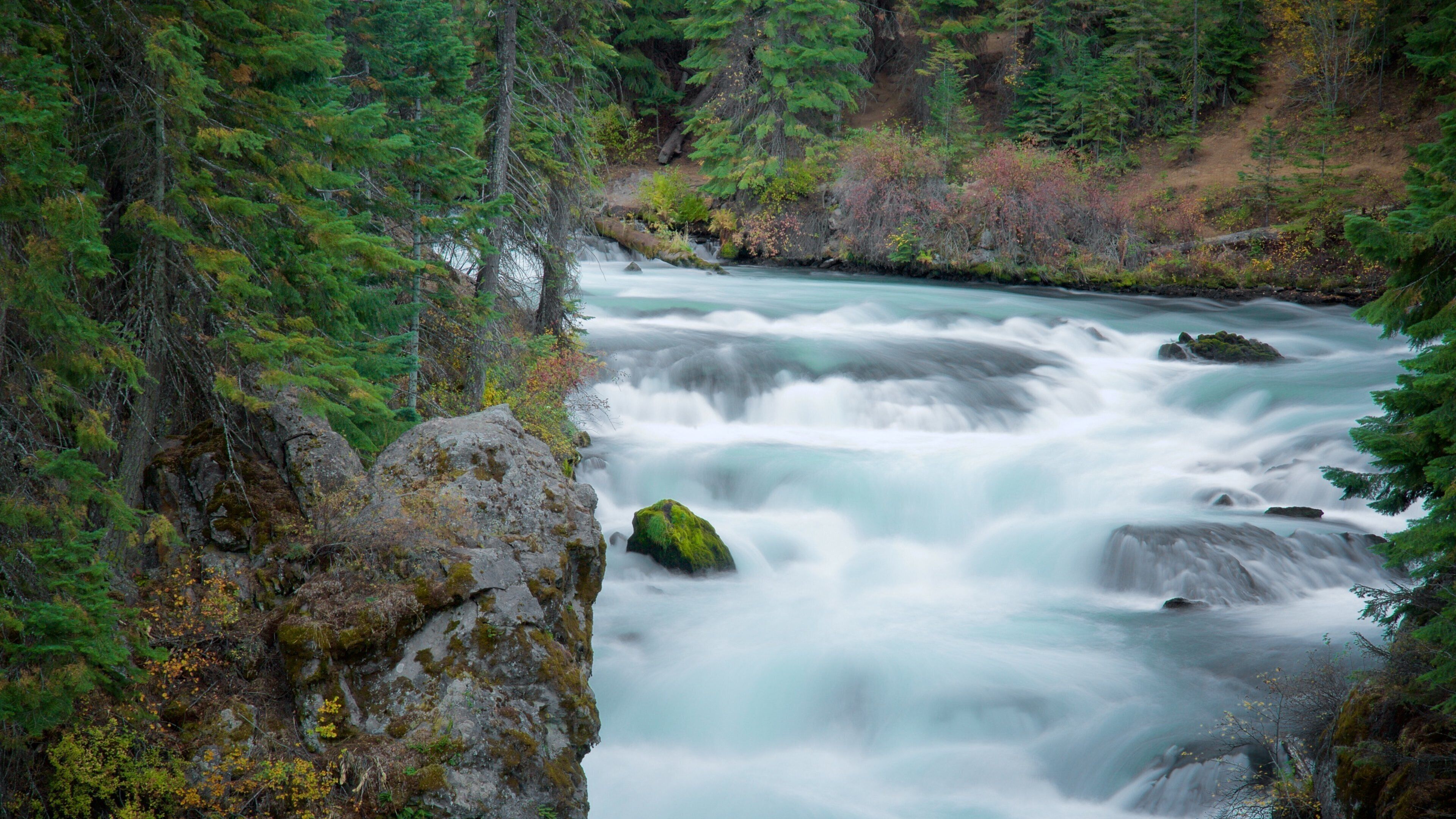 A fast-flowing river surrounded by dense forest and rocky terrain.