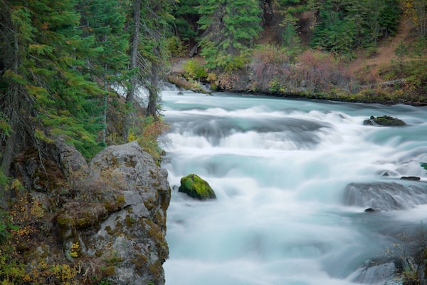 A fast-flowing river surrounded by dense forest and rocky terrain.