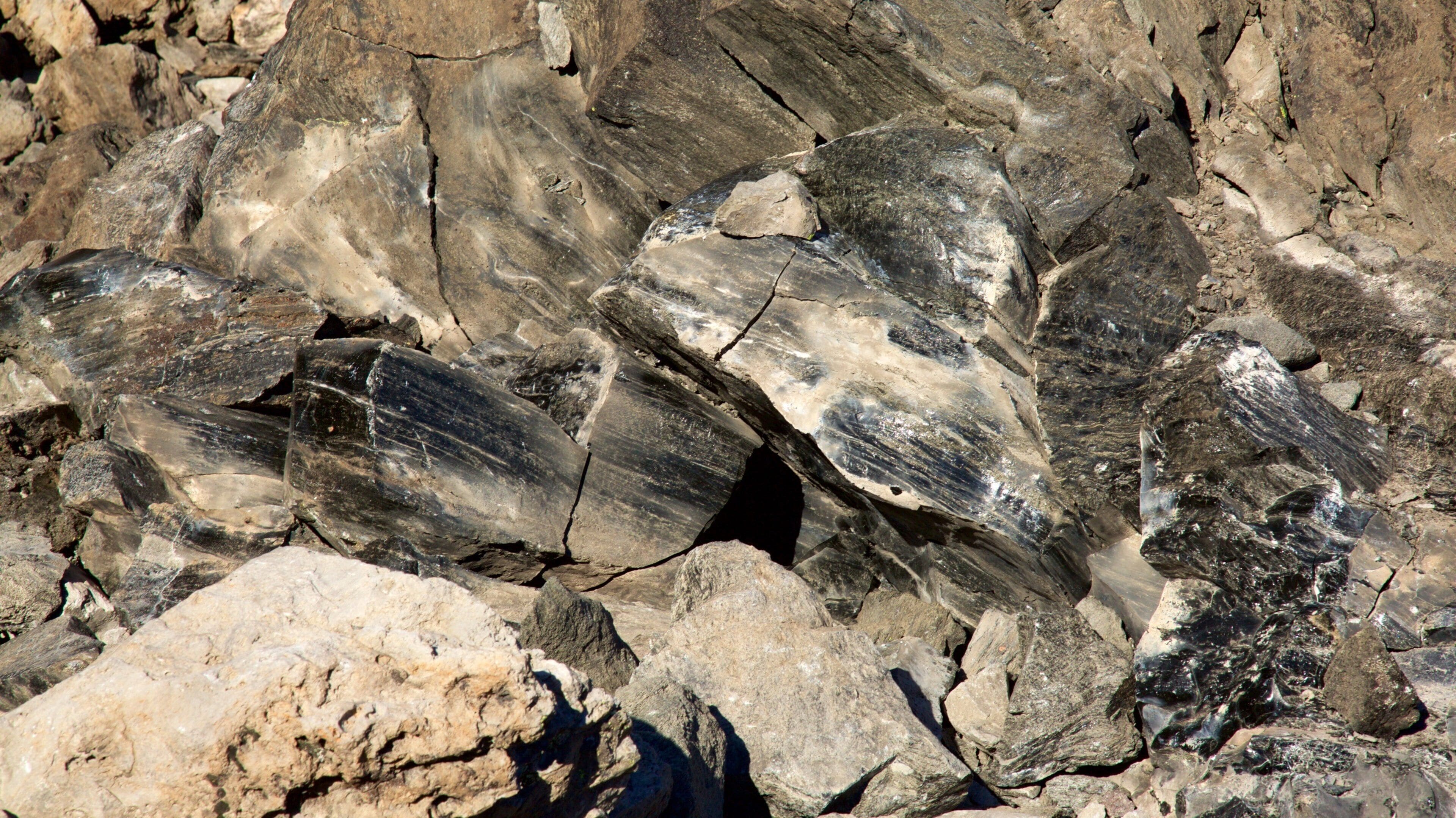 Newberry National Volcanic Monument montrant paysages paisibles