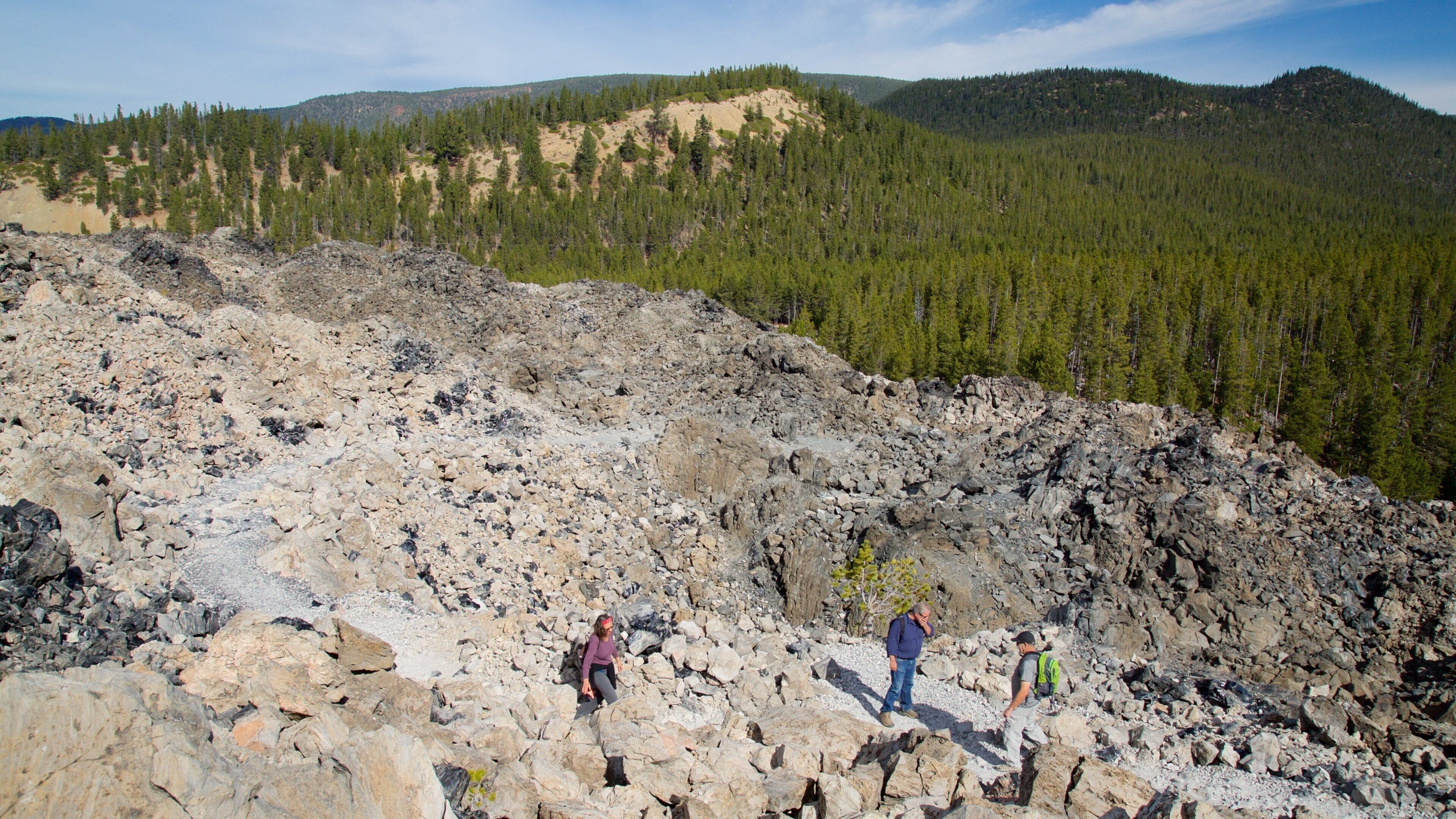 Newberry National Volcanic Monument showing forests and landscape views