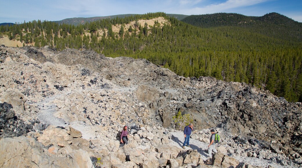 Newberry National Volcanic Monument showing forests and landscape views