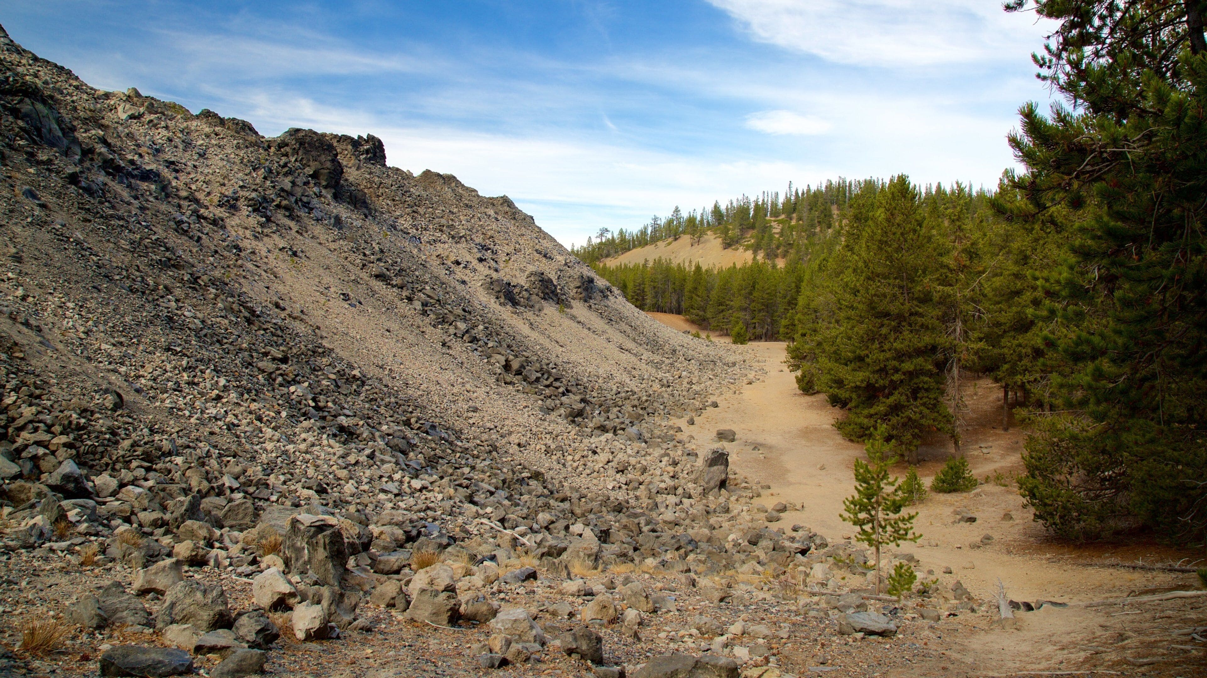 Newberry National Volcanic Monument que inclui cenas de floresta e cenas tranquilas