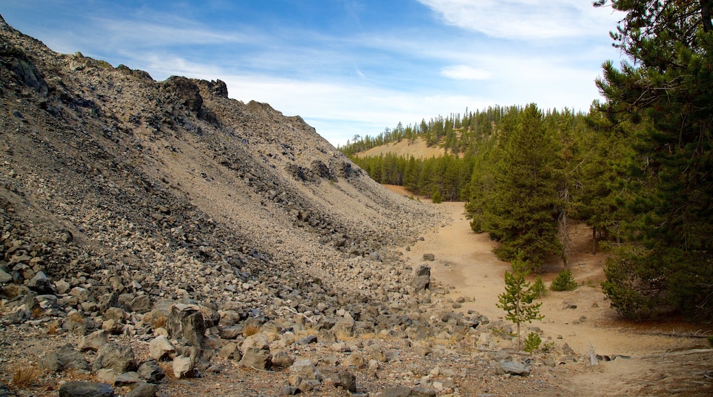 Newberry National Volcanic Monument que inclui cenas de floresta e cenas tranquilas