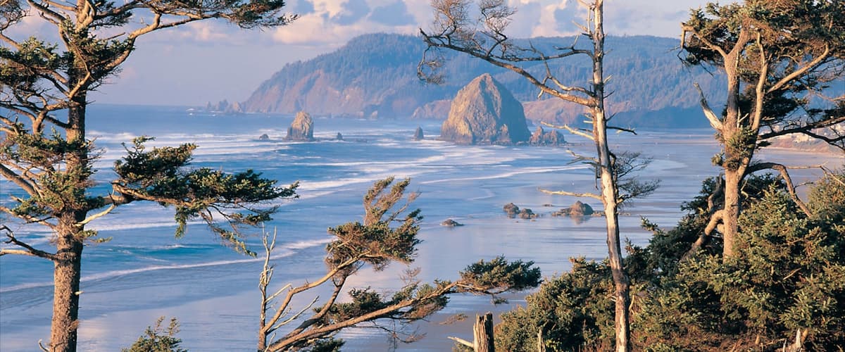 Breathtaking view of Cannon Beach showcasing rocky formations and lush trees in Oregon during late afternoon