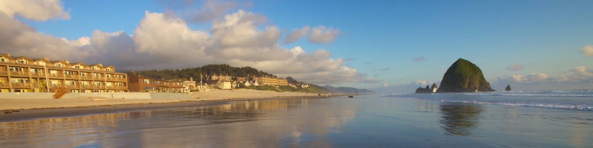 A beach with a calm sea, a prominent green hill, and a row of buildings along the shore.