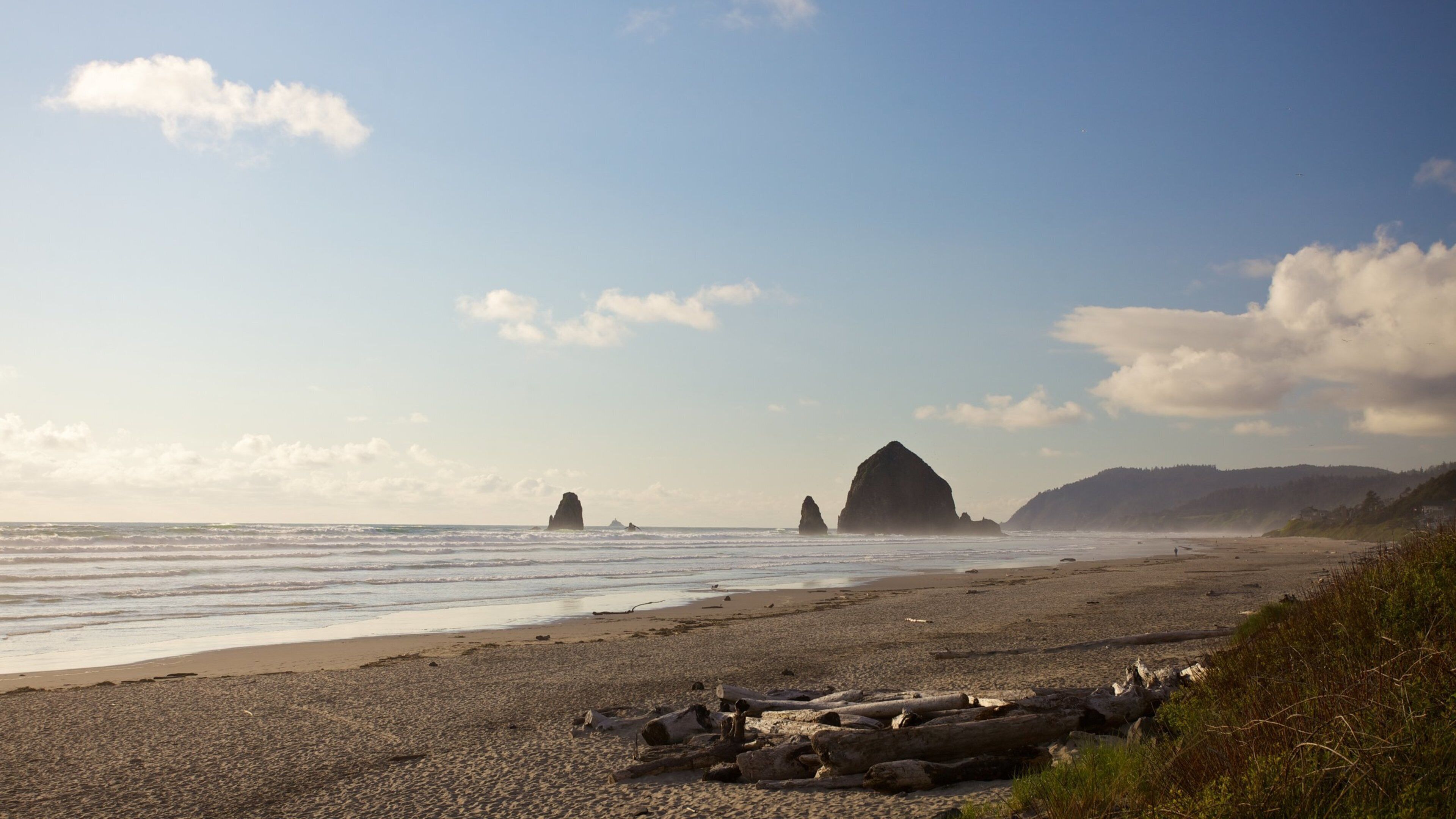 Cannon Beach som inkluderar landskap och en sandstrand