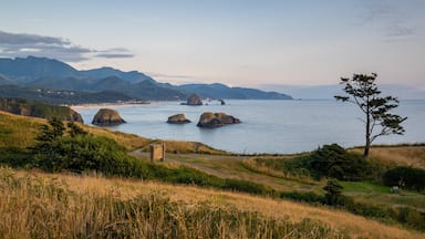 A coastal landscape with grassy hills, a beach, and rocky outcrops in the water.