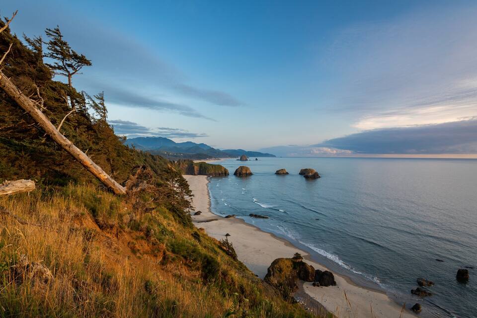 A coastal landscape with a sandy beach, rocky outcrops, and a fallen tree.