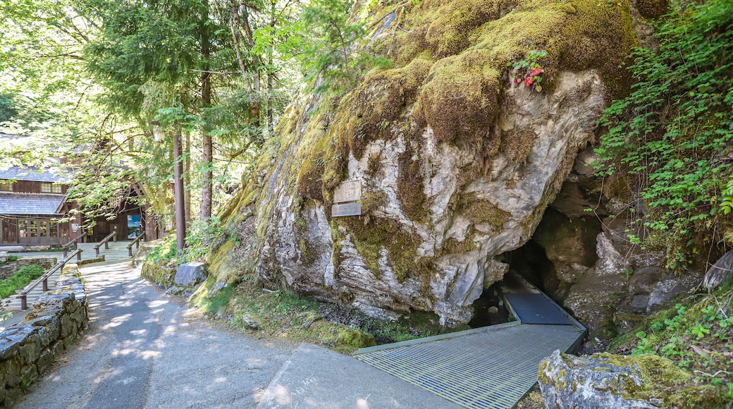 CAVE JUNCTION, OREGON, UNITED STATES - Sep 30, 2019: Cave entrance at Oregon Caves National Monument