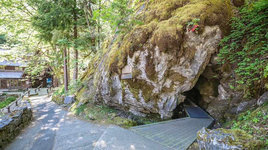 Oregon Caves National Monument (nasjonalpark)